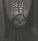 Skull By Lynn Stern, Donald Kuspit Cover Image