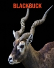 Blackbuck: Amazing Photos & Fun Facts Book About Blackbuck For Kids Cover Image