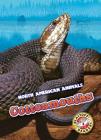 Cottonmouths (North American Animals) By Al Albertson Cover Image