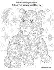 Livre de coloriage pour adultes Chats merveilleux By Nick Snels Cover Image