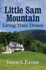 Little Sam Mountain- Living Their Dream Cover Image