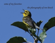 some of my favorites By Ron Hirsch Cover Image