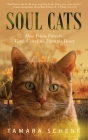 Soul Cats: How Our Feline Friends Teach Us to Live from the Heart By Tamara Schenk Cover Image