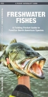 Freshwater Fishes: An Introduction to Familiar North American Species By James Kavanagh, Leung Raymond (Illustrator) Cover Image
