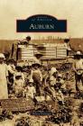 Auburn By Hilary Pittenger Cover Image