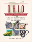 Ohio Wildlife Encyclopedia: An Illustrated Guide to Birds, Fish, Mammals, Reptiles, and Amphibians By Scott Shupe Cover Image