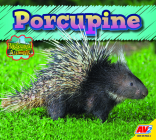 Porcupine (Backyard Animals) By Heather Kissock Cover Image