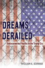 Dreams Derailed: Undocumented Youths in the Trump Era By William A. Schwab Cover Image