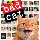 Bad Cat Wall Calendar 2024: Celebrating the Misfits of the Feline World Cover Image