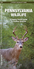Pennsylvania Wildlife: A Folding Pocket Guide to Familiar Animals (Pocket Naturalist Guide) Cover Image