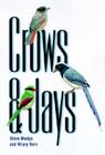 Crows and Jays Cover Image