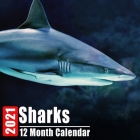 Calendar 2021 Sharks: Cute Shark Photos Monthly Mini Calendar With Inspirational Quotes each Month Cover Image