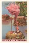 Vintage Journal Flamingo Nesting in Stuart, Florida By Found Image Press (Producer) Cover Image