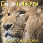 Lion Calendar 2022: LION calendar 2022 