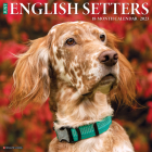 Just English Setters 2023 Wall Calendar By Willow Creek Press Cover Image