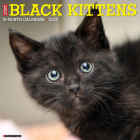 Just Black Kittens 2025 12 X 12 Wall Calendar Cover Image