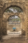 Emirate, Egyptian, Ethiopian: Colonial Experiences in Late Nineteenth-Century Harar (Modern Intellectual and Political History of the Middle East) By Avishai Ben-Dror Cover Image