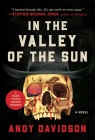 In the Valley of the Sun: A Novel By Andy Davidson Cover Image