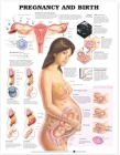 Pregnancy and Birth  Cover Image
