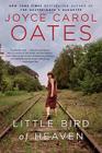 Little Bird Of Heaven: A Novel Cover Image