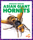 Asian Giant Hornets (Invasive Species) By Alicia Z. Klepeis Cover Image