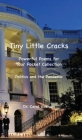 Tiny Little Cracks: Powerful Poems for Your Pocket Collection: Politics and the Pandemic By Carol J. Graham Cover Image