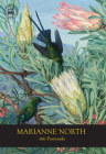 Marianne North 100 Postcards By Kew Royal Botanic Gardens Cover Image