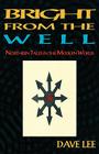 Bright from the Well: Northern Tales in the Modern World Cover Image