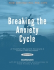 Breaking the Anxiety Cycle - A Treatment Blueprint for Acute & Chronic Anxiety Relief By Lcpc Schreiber-Pan Cover Image