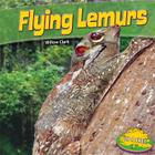 Flying Lemurs (Up a Tree) By Willow Clark Cover Image