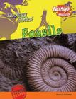 Fossils By Rebecca Faulkner Cover Image