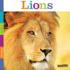 Seedlings: Lions By Kate Riggs Cover Image