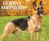 German Shepherds 2025 6.2 X 5.4 Box Calendar By Willow Creek Press Cover Image