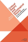 Critical theory and sociological theory: On late modernity and social statehood (Critical Theory and Contemporary Society) By Darrow Schecter Cover Image