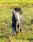 Anteater: Beautiful Pictures & Interesting Facts Children Book About Anteater Cover Image