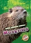 Muskrats (North American Animals) By Al Albertson Cover Image