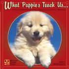 What Puppies Teach Us: Life's Lessons Learned from Our Little Friends By Glenn Dromgoole Cover Image