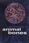 The Archaeology of Animal Bones (Texas A&M University Anthropology Series #4) By Terry O'Connor Cover Image