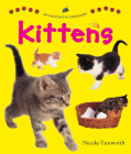 Say and Point Picture Boards: Kittens Cover Image