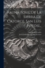 Fauna Fosil De La Sierra De Catorce, San Luis Potosí... Cover Image