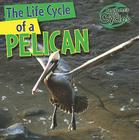 The Life Cycle of a Pelican (Nature's Life Cycles) By Anna Kingston Cover Image