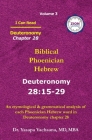 Deuteronomy Chapter 28: I Can Read - Biblical Phoenician Hebrew Volume 3 By Zion Law School, Mba Yasapa Yachaana Cover Image