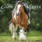 Gypsy Vanner Horse 2024 12 X 12 Wall Calendar Cover Image