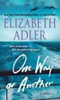 One Way or Another: A Novel Cover Image
