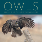 Owls 2024: A 12-Month Wall Calendar Cover Image