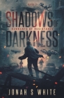 Shadows of Darkness: Remnants of Resistance (book 2) Cover Image