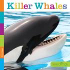 Seedlings: Killer Whales By Kate Riggs Cover Image