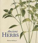Ancient Herbs By Marina Heilmeyer  Cover Image