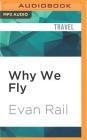 Why We Fly: The Meaning of Travel in a Hyperconnected Age Cover Image