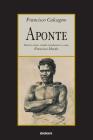 Aponte By Francisco Calcagno, Francisco Moran (Editor) Cover Image